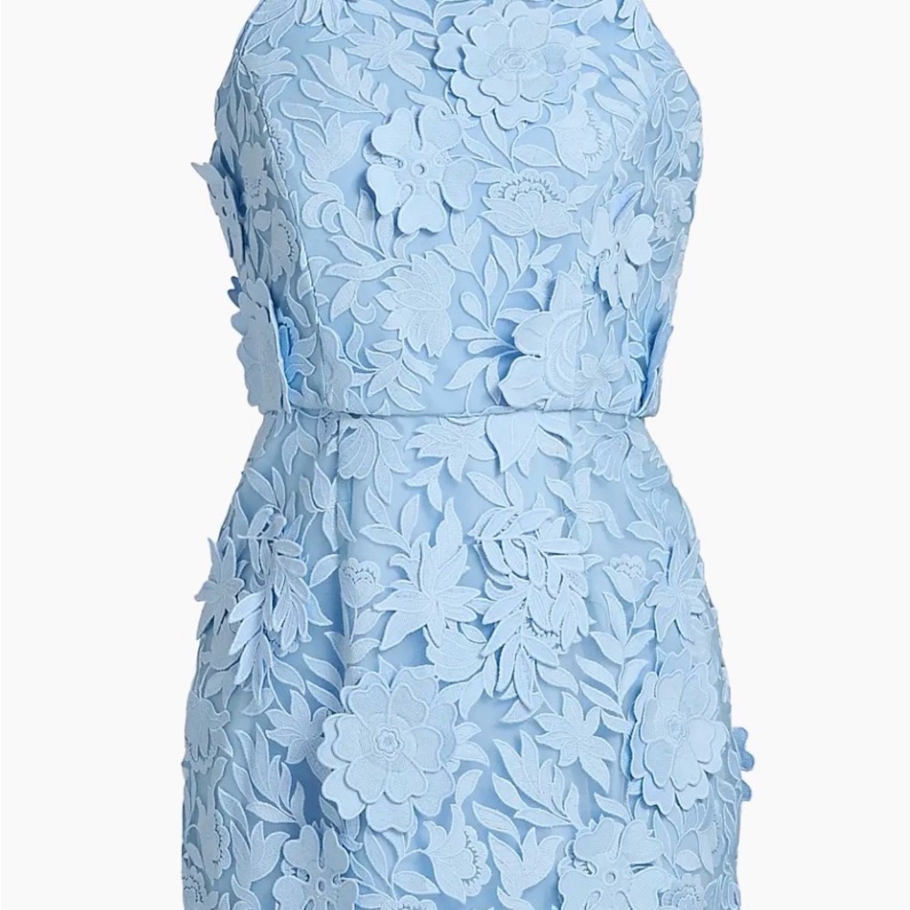 OLIVIA ROSE TRELLIS LACE
MINIDRESS - Picture 6 of 6